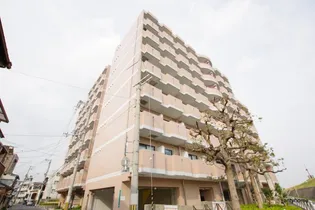 ラ パルフェ ド パラツィーナの画像