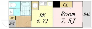 ドムスドイ【8階】の間取り