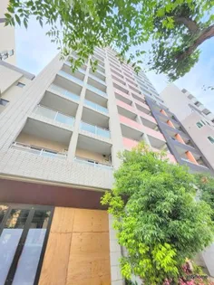 BRAVI南堀江【15階】の外観