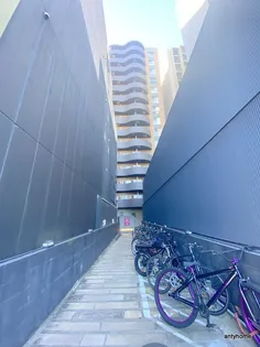 大阪府大阪市中央区高津3丁目【マンション】の外観