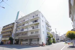 大阪府大阪市淀川区十三東3丁目【マンション】の外観