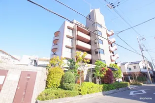 メルヴェーユコマドリの画像