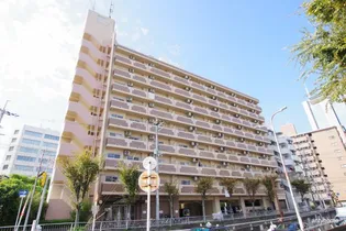 サウスフラット【8階】の外観