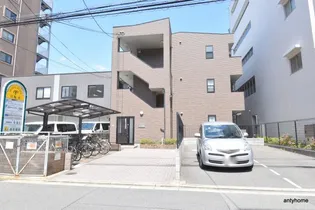 アンプルールフェールSHIBATAの画像