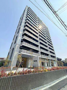 スプランディッドXIの画像