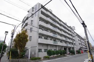 木川東エクセルハイツ【8階】の外観