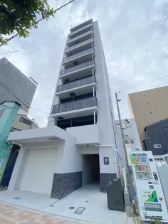 TOU MIYAKOJIMAの画像