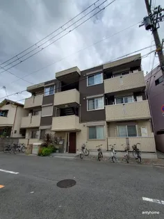 アムール姫島の画像