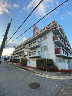 ホステリアの画像