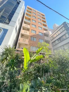 大阪府大阪市中央区博労町4丁目【マンション】の外観