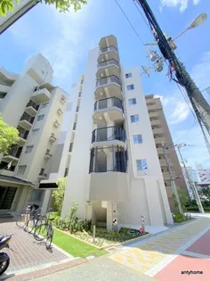 クアンツの画像