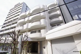 大阪府大阪市淀川区木川東2丁目【マンション】の外観