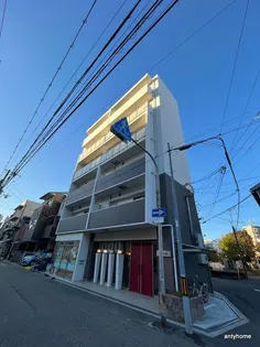 アミル9の画像