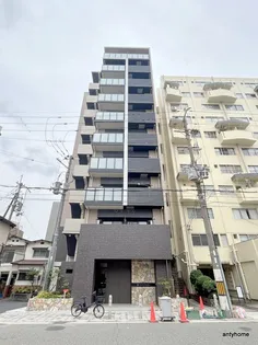 LIVE FLAT TSUKAMOTOの画像