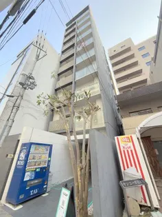 コンチネンタル難波東【10階】の外観