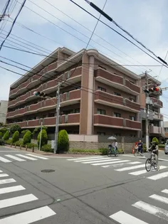 クルックスの画像