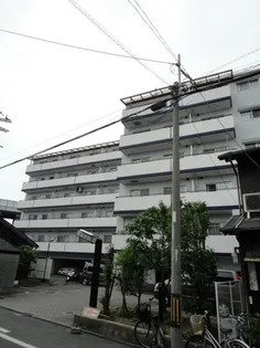 メゾン栄【4階】の外観