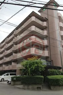 セディアコアロードの画像