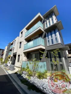 CIELO STELLATOの画像