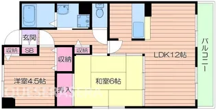 グレイスアベリア【2階】の間取り
