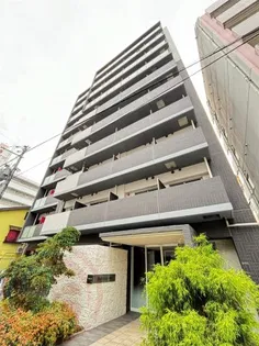 PERFECTLIFE本田の画像