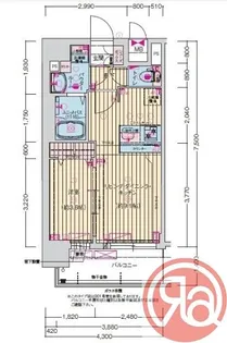 プレサンス桜川グロワール【8階】の間取り