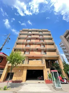 ハイクオリティアドニス【4階】の外観