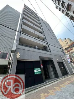 SHINE&SHINE55の画像