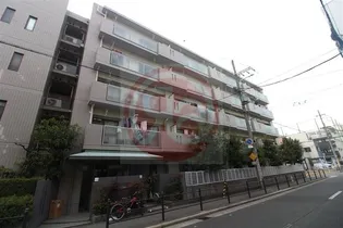 アドニスの画像