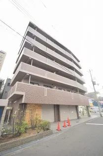 ロリオンの画像