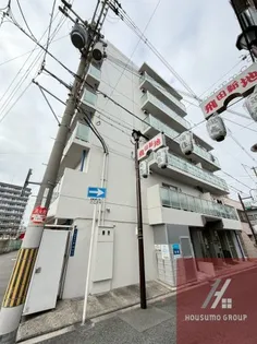 シャルムマキの画像