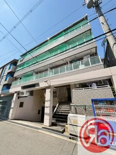 ノウムローザの画像