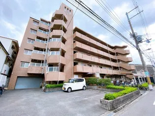 ノースフライトの画像