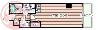 キャピトル新町南公園【4階】の間取り