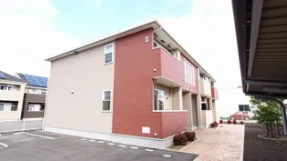 チェリ ブラッサムIIIの画像