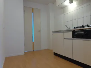 サンタクララ大隅【102号室】のキッチン