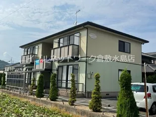 ゴールドクレストの画像