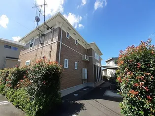 シェソワ Cの画像