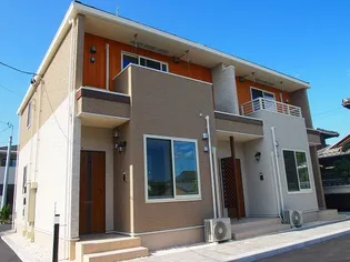 シェーン バッハ 上富井Bの画像