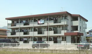 サン・オーレ新涯【301号室】の外観