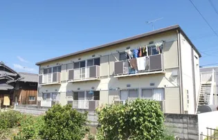 パナハイツ田岡檀紙の画像