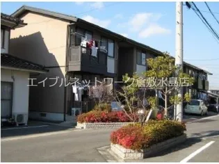 バンビーノ Cの画像