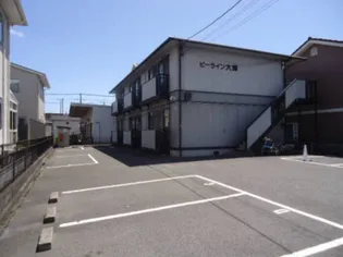 ビーライン大輝の画像