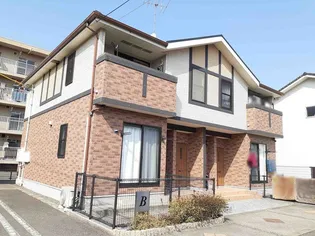 プラシードBの画像