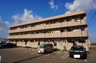 サン ビオラの画像