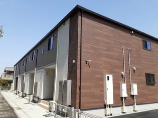 サンゾーラの画像