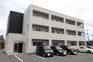 ラッフィナートの画像