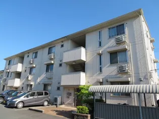 ピアチェーレの画像