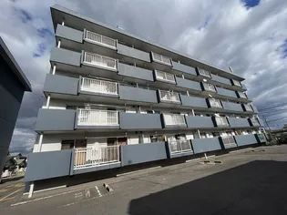 新涯マンションB【5階】の外観