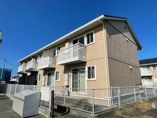 T コートの画像